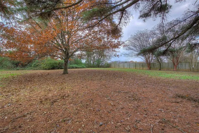 a view of backyard with green space