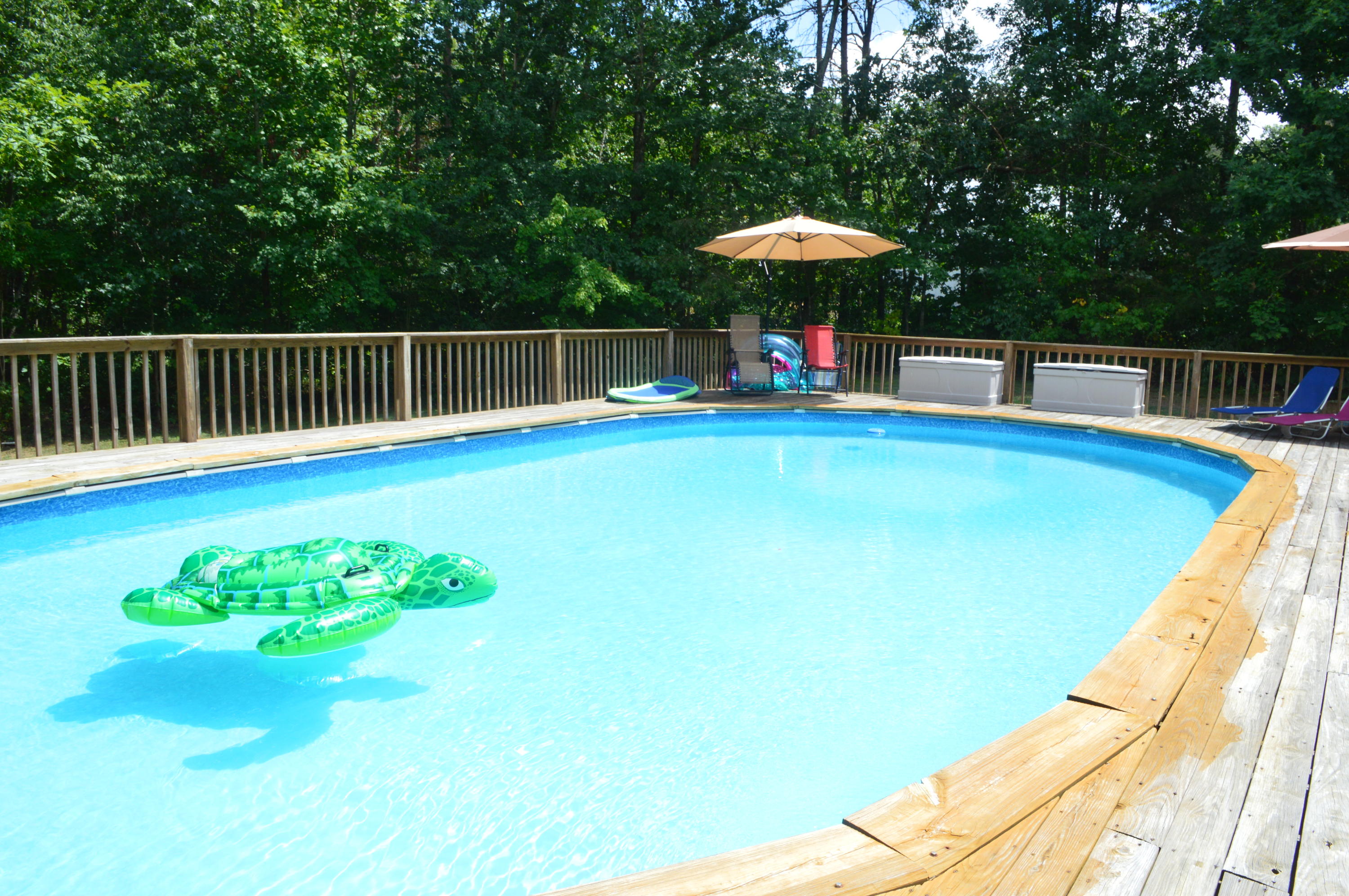 1537 Poe Road Soddy Daisy, TN 37379 - Photo 46 of 63 DSC_0549