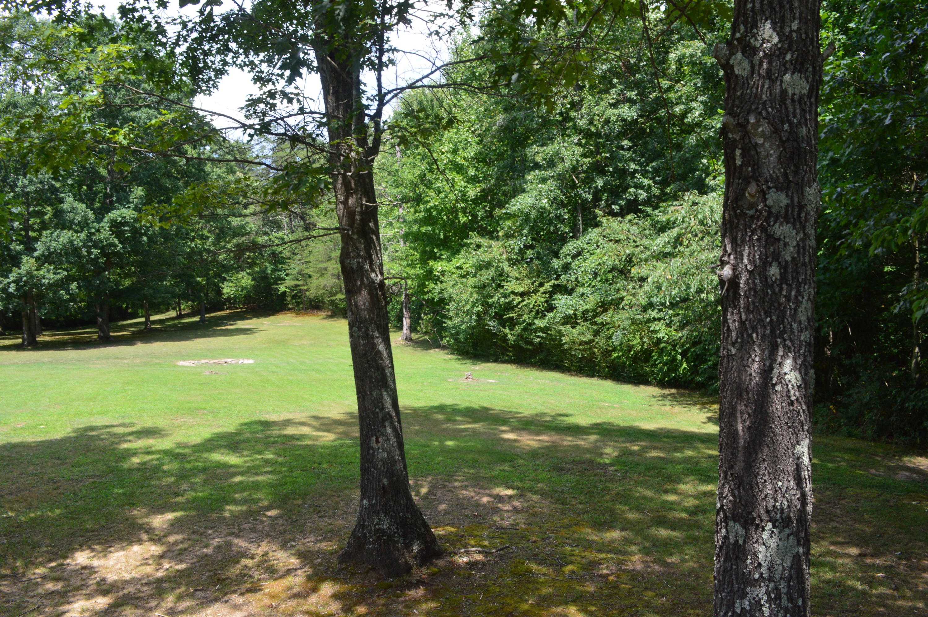 1537 Poe Road Soddy Daisy, TN 37379 - Photo 61 of 63 DSC_0556