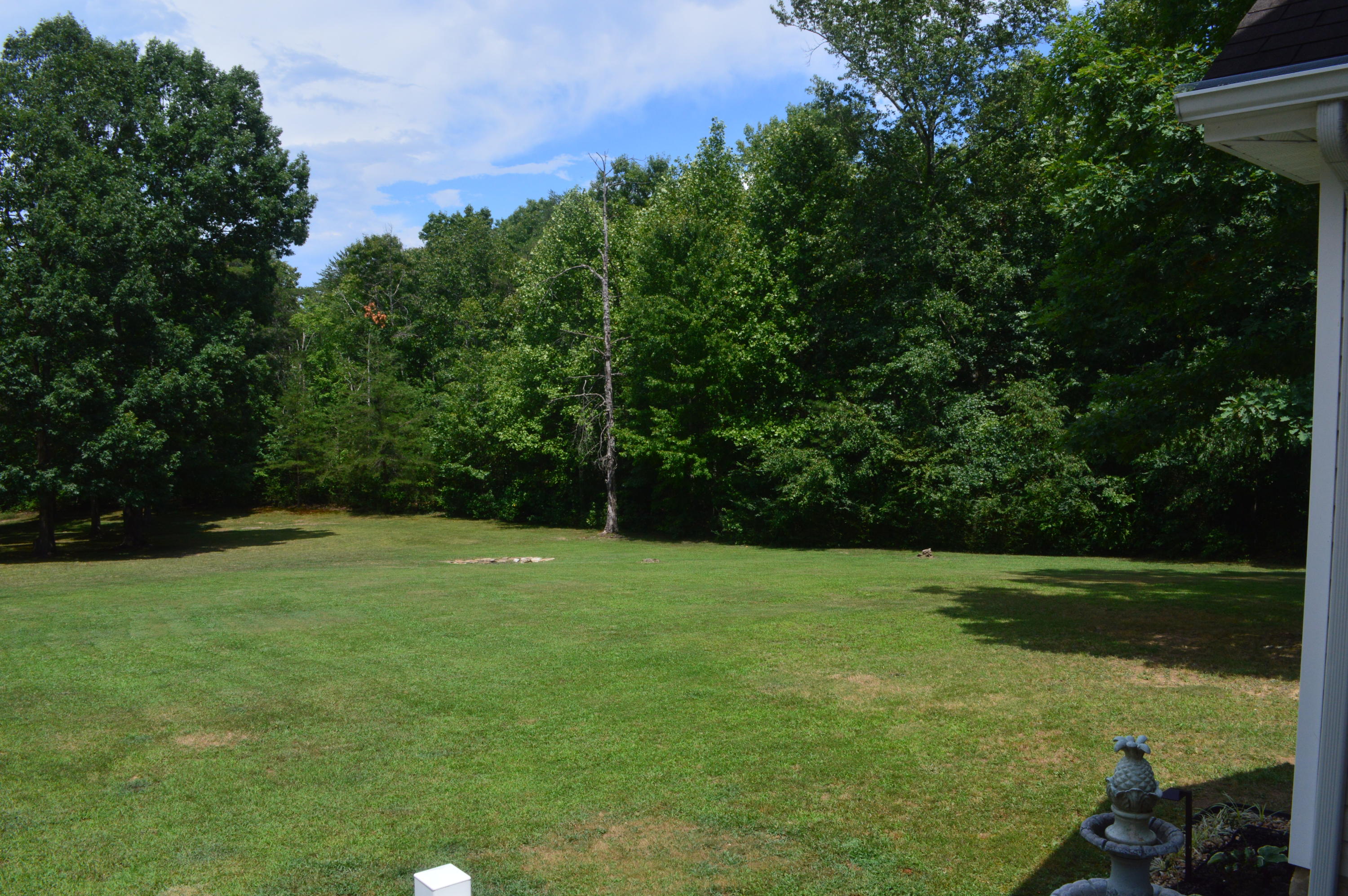 1537 Poe Road Soddy Daisy, TN 37379 - Photo 63 of 63 DSC_0561