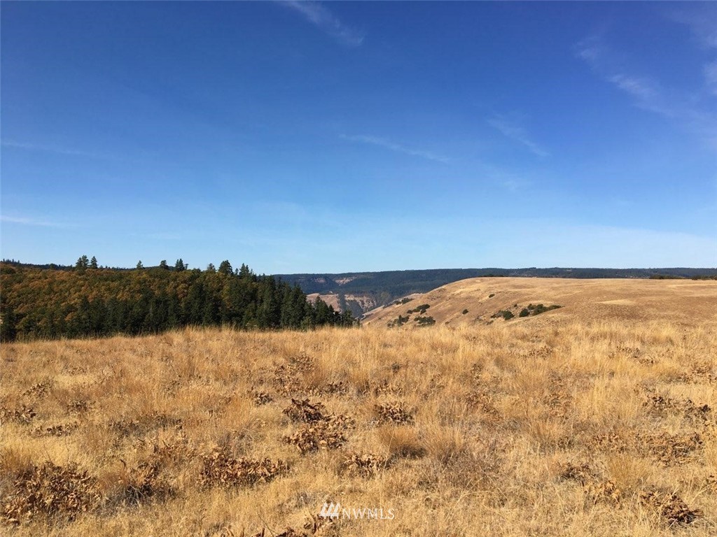 0 Red Tail Road East Lyle, WA 98635 - Photo 22 of 31 Gallery Image 22