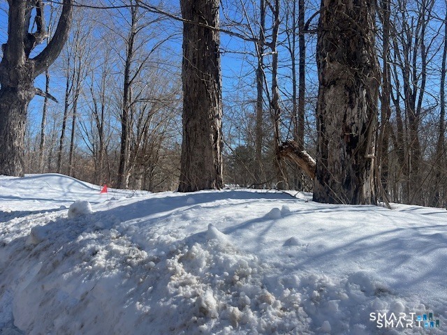 Bebbington Road Ashford, CT 06278 - Photo 2 of 5
