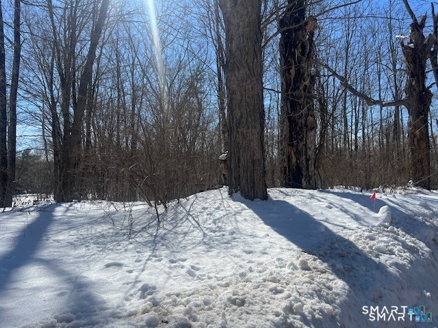Bebbington Road Ashford, CT 06278 - Photo 3 of 5