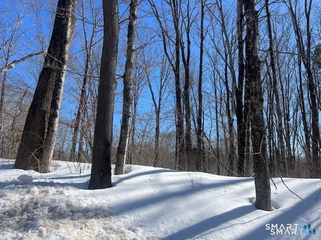 Bebbington Road Ashford, CT 06278 - Photo 4 of 5