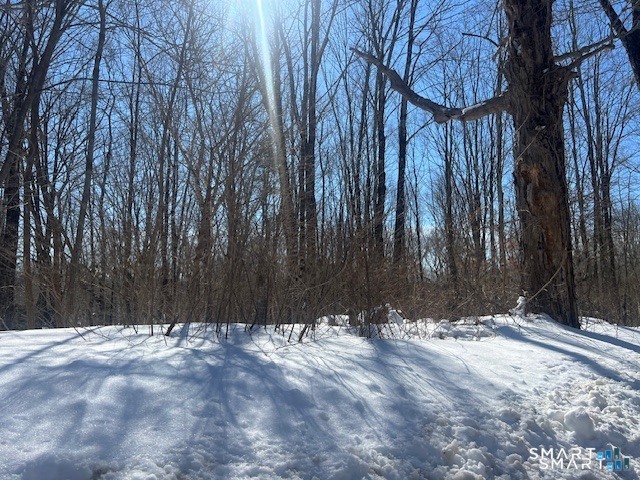 Bebbington Road Ashford, CT 06278 - Photo 4 of 4