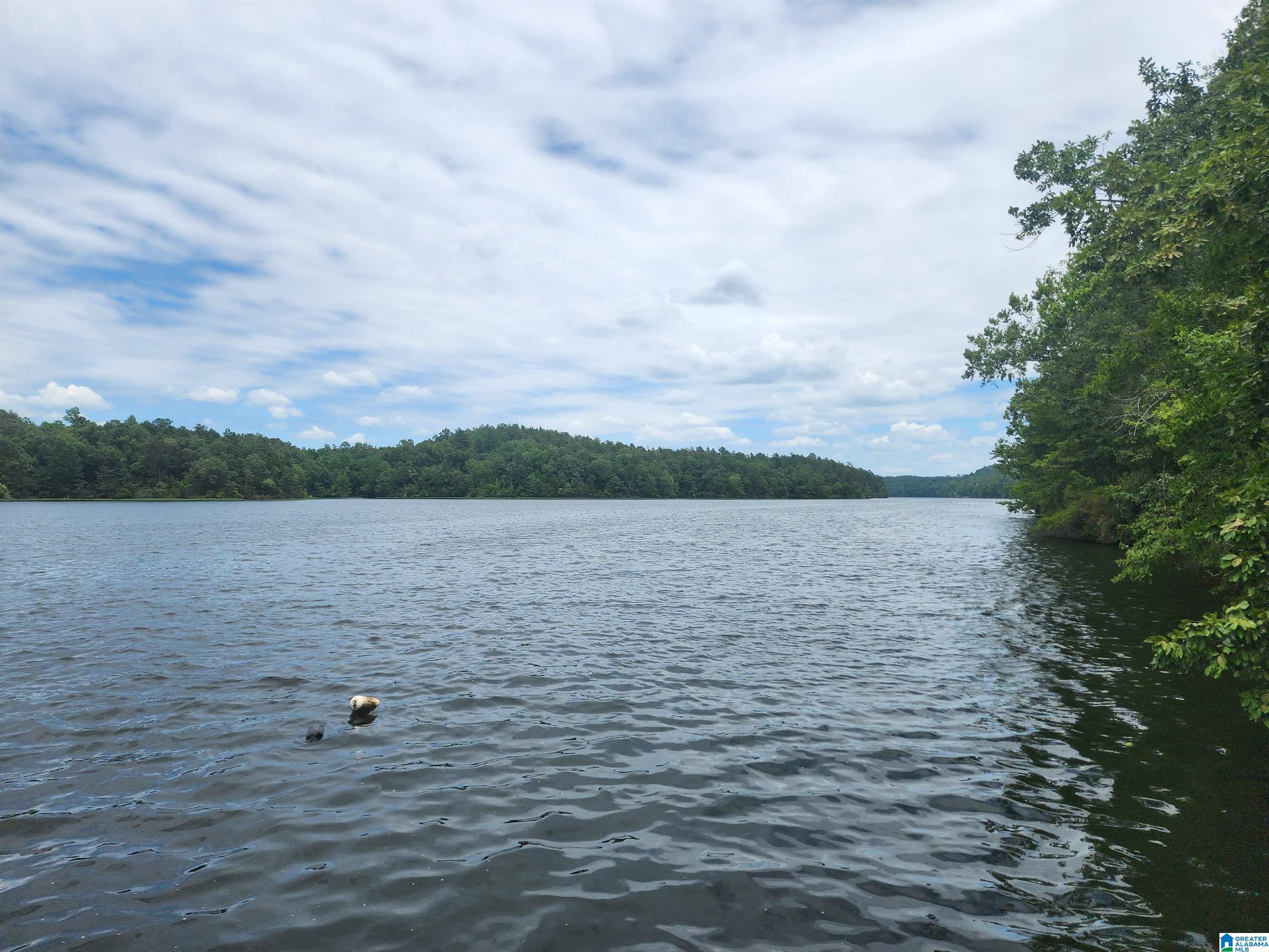 Lot 8 Eagle Mountain Road, Unit 8 Alexander City, AL 35010 - Photo 23 of 27