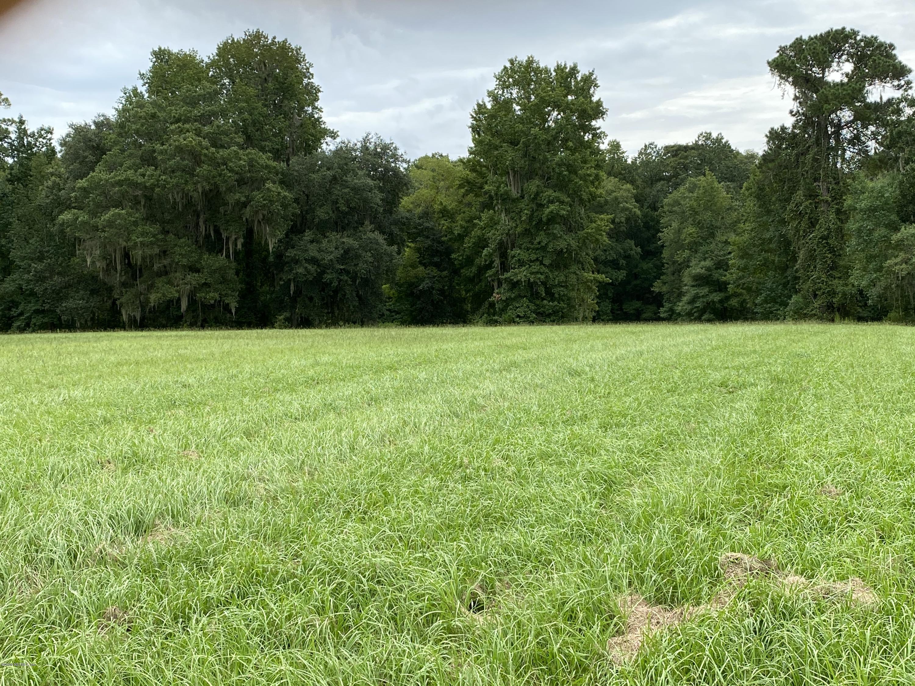 0 Moore Branch Road Jacksonville, FL 32234 - Photo 16 of 17 IMG_9811