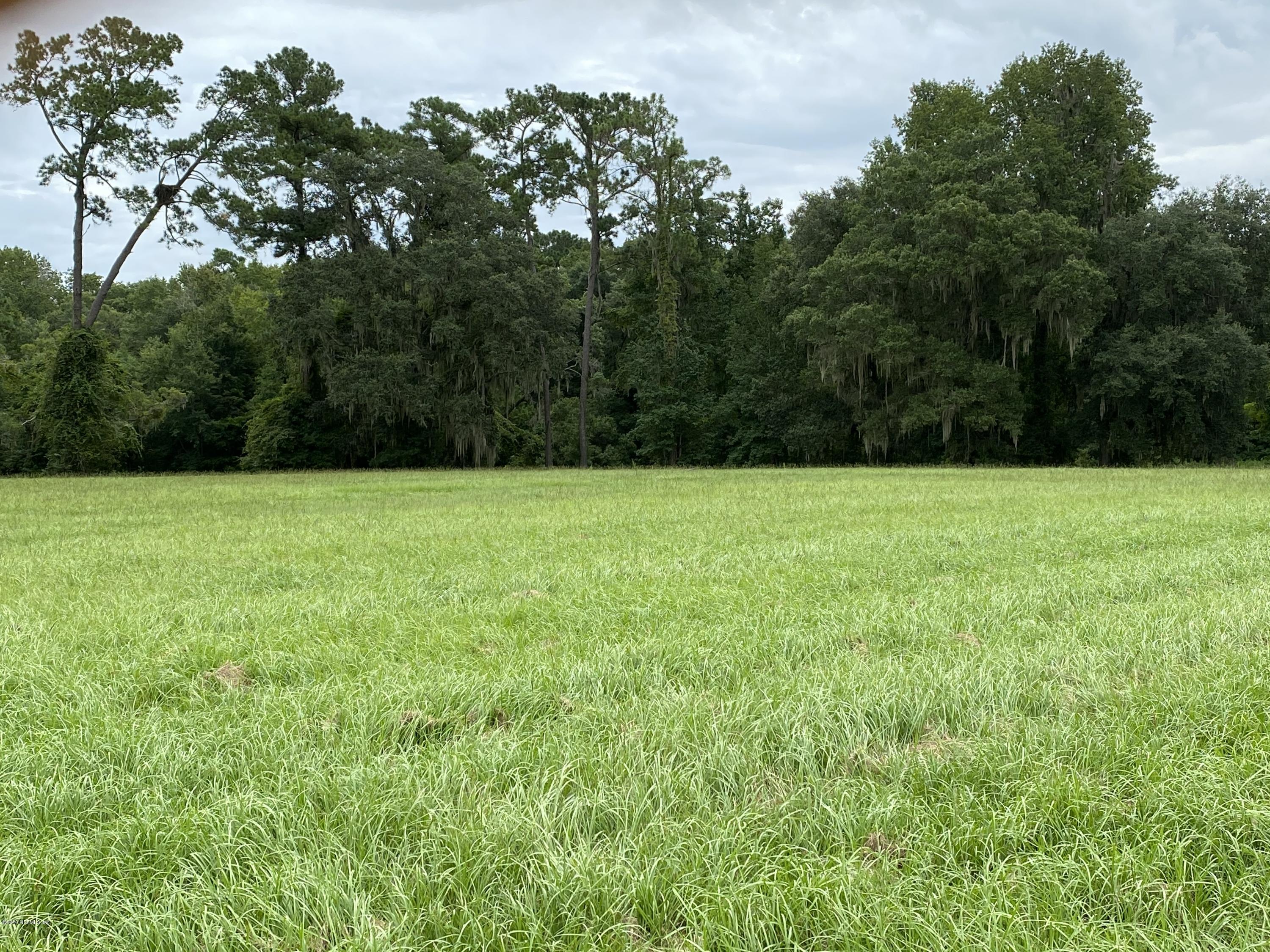 0 Moore Branch Road Jacksonville, FL 32234 - Photo 10 of 17 North center view