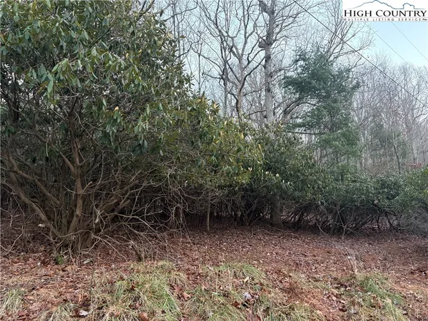 a view of outdoor space