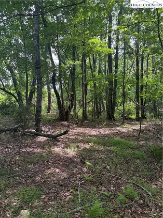 a view of outdoor space with trees