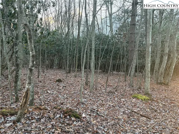a view of outdoor space with lots of trees