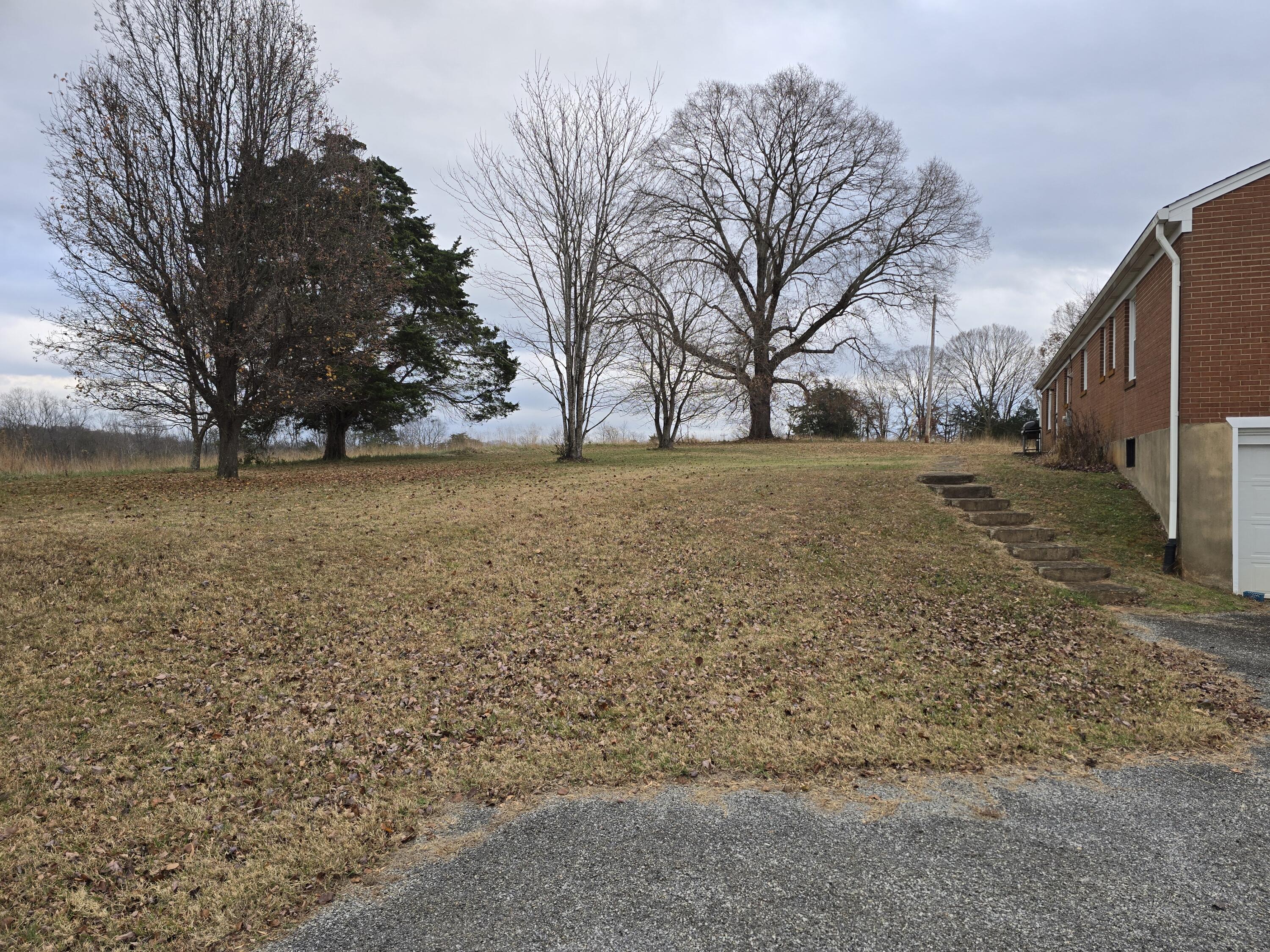 15917 A Moneta Road Moneta, VA 24121 - Photo 4 of 5 a view of yard with trees