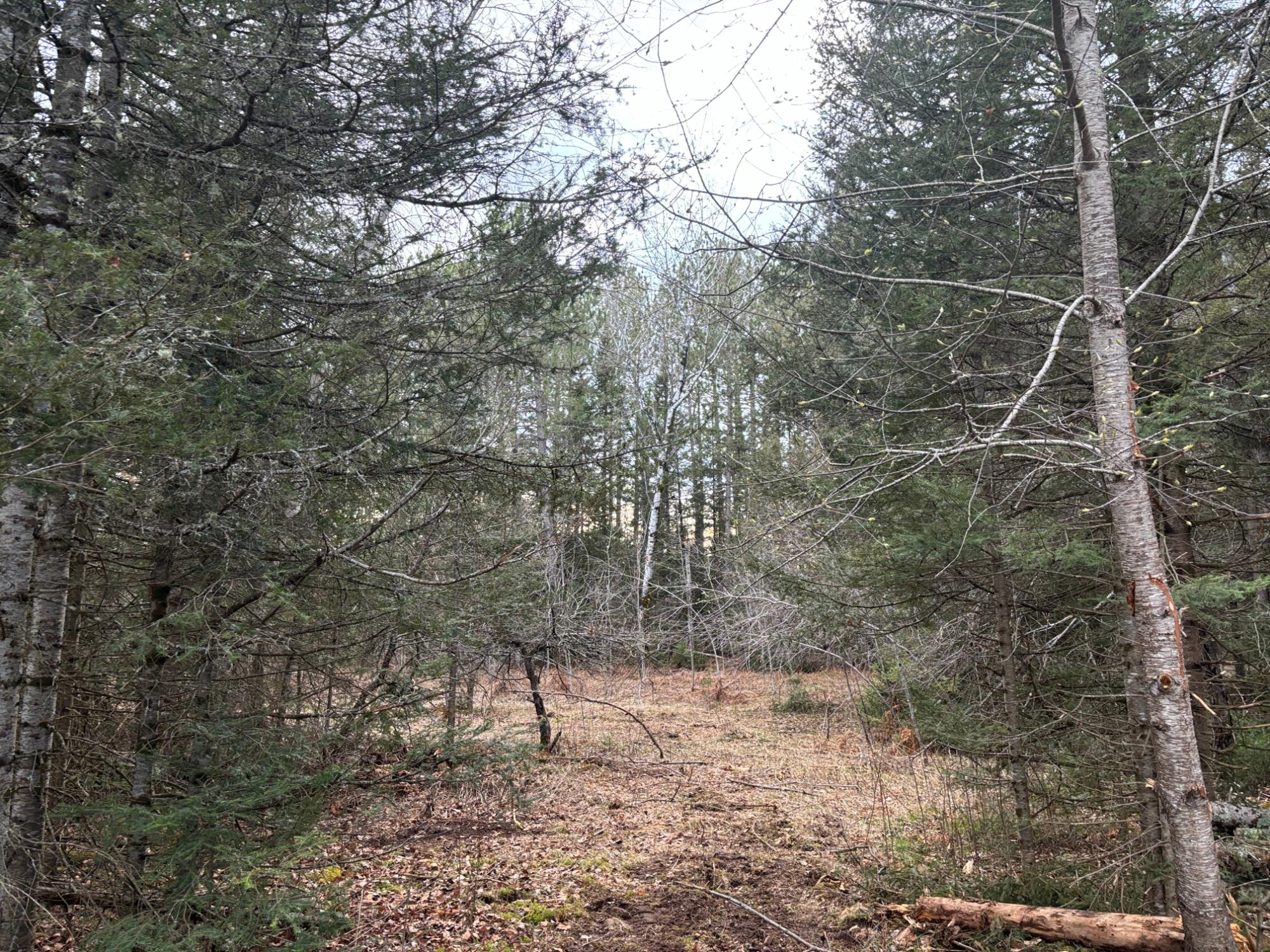 4480 Sand Rock Road Hurley, WI 54534 - Photo 23 of 65 Gallery Image 23