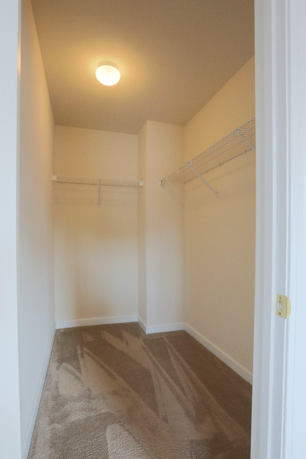 9451 Harroway Road Summerville, SC 29485 - Photo 40 of 59 II3A2887