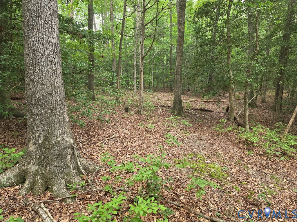 18 Dorrell Road Aylett, VA 23009 - Photo 4 of 17