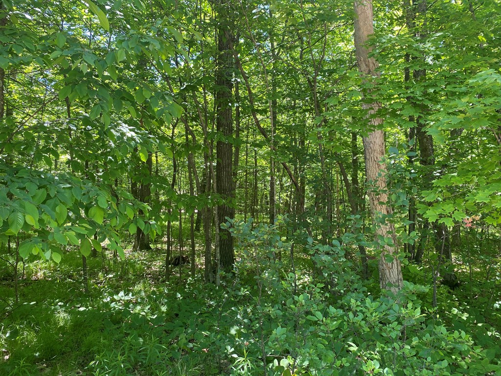 Lot 2 Stephens Way Egg Harbor, WI 54209 - Photo 4 of 5