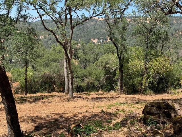 555 Jurgens Road Rescue, CA 95672 - Photo 19 of 38 Gallery Image 19