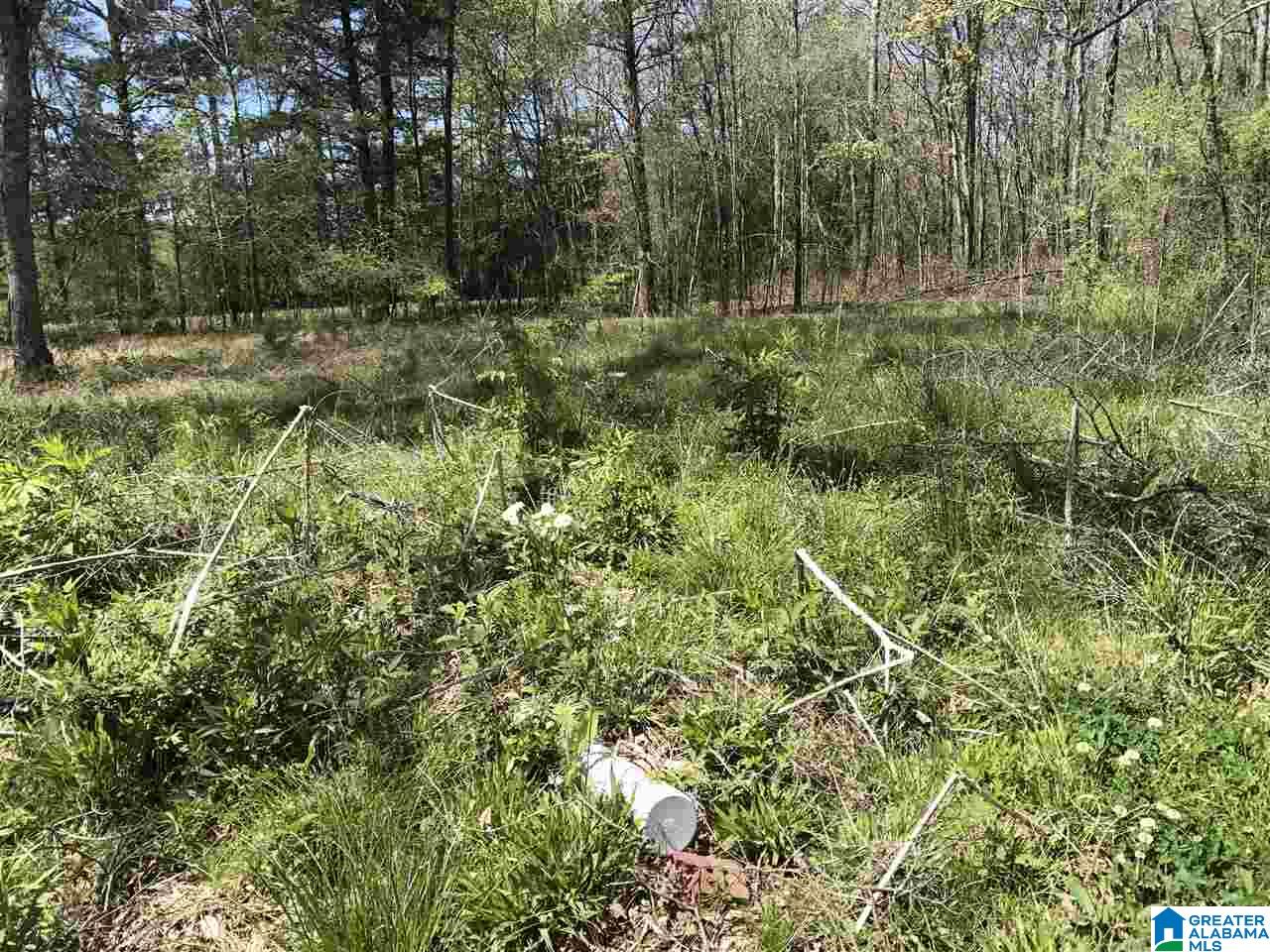 4133 Roy Webb Road, Unit 1 Jacksonville, AL 36265 - Photo 12 of 40