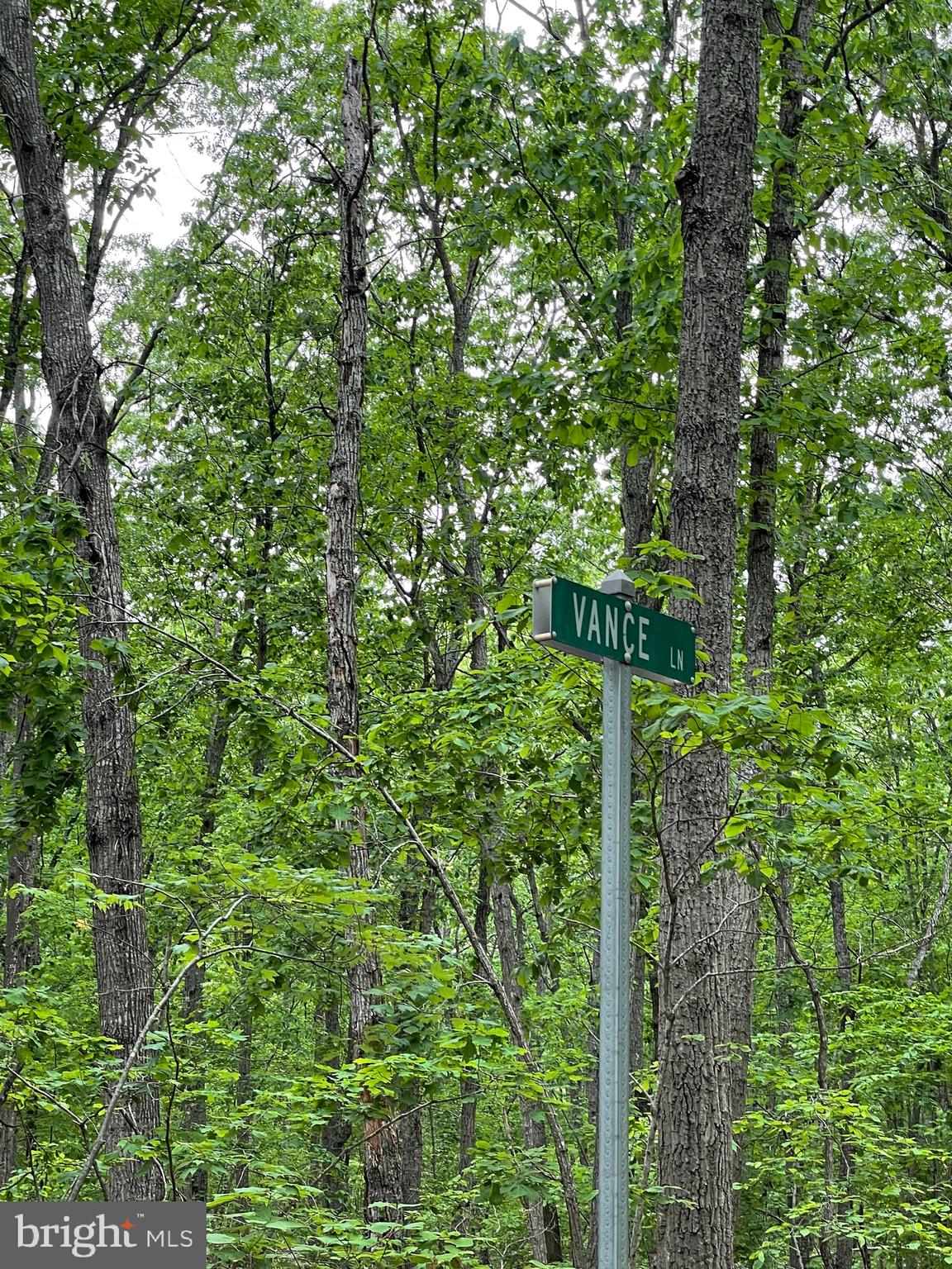 Tbd Big H Ranch Road Culpeper, VA 22701 - Photo 3 of 5 Property corner of Big H Ranch Rd and Vance Ln