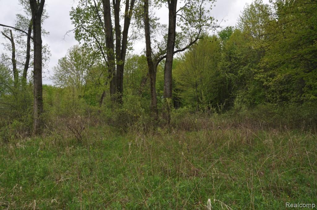 L2 Euler Road Brighton, MI 48114 - Photo 4 of 8