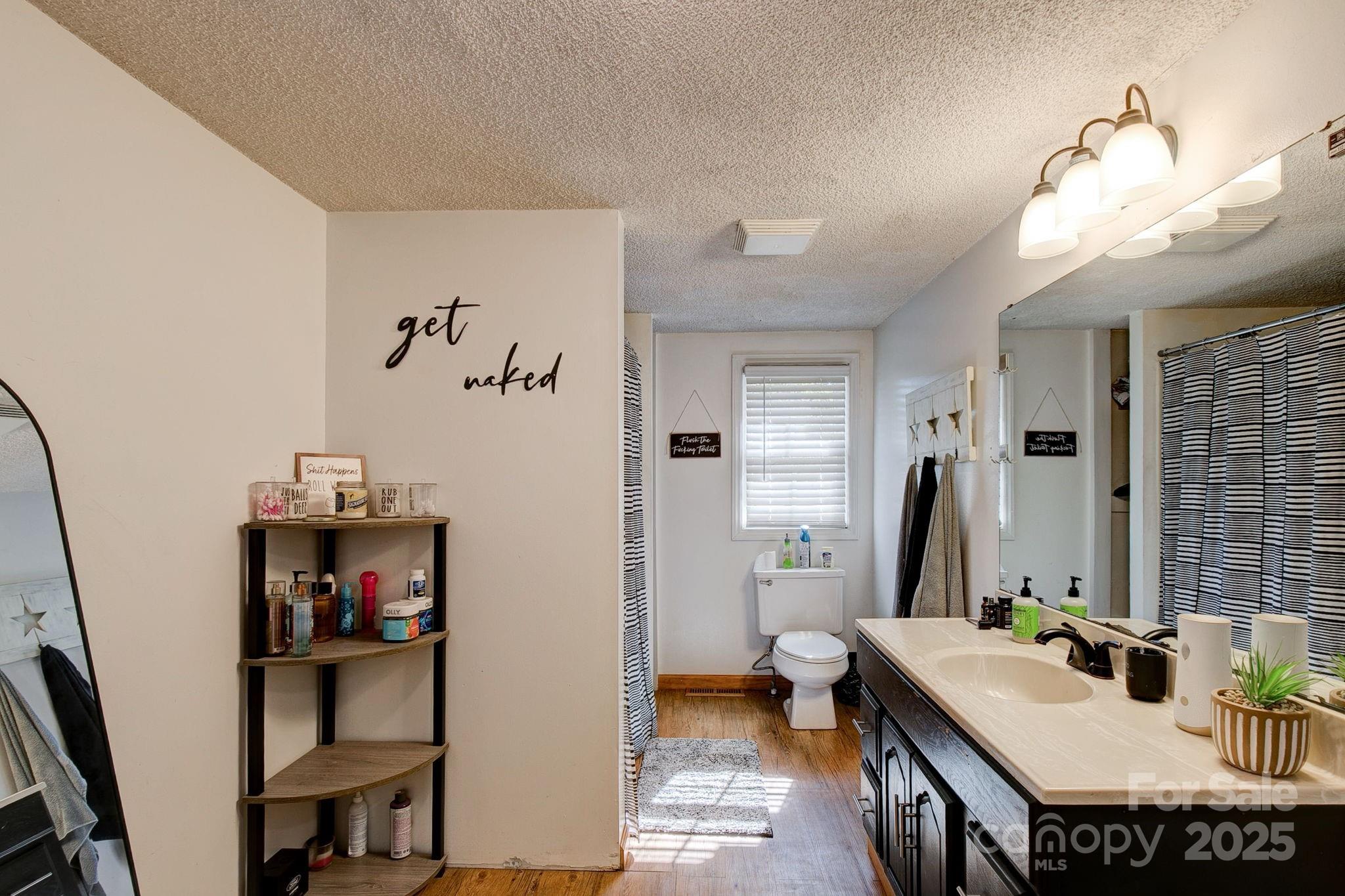 951 Evans Mill Road Pageland, SC 29728 - Photo 22 of 28 a bathroom with a sink a toilet and a mirror