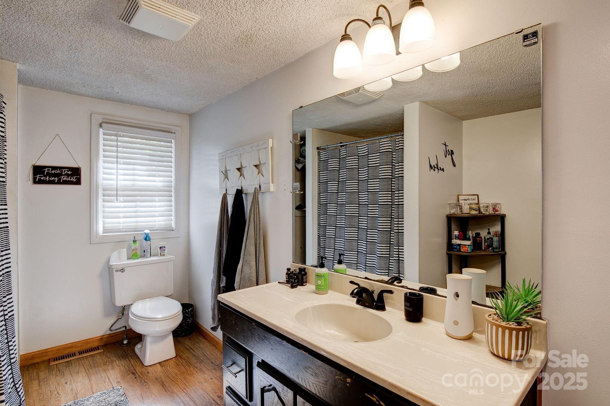 951 Evans Mill Road Pageland, SC 29728 - Photo 23 of 28 a bathroom with a sink a toilet and a mirror