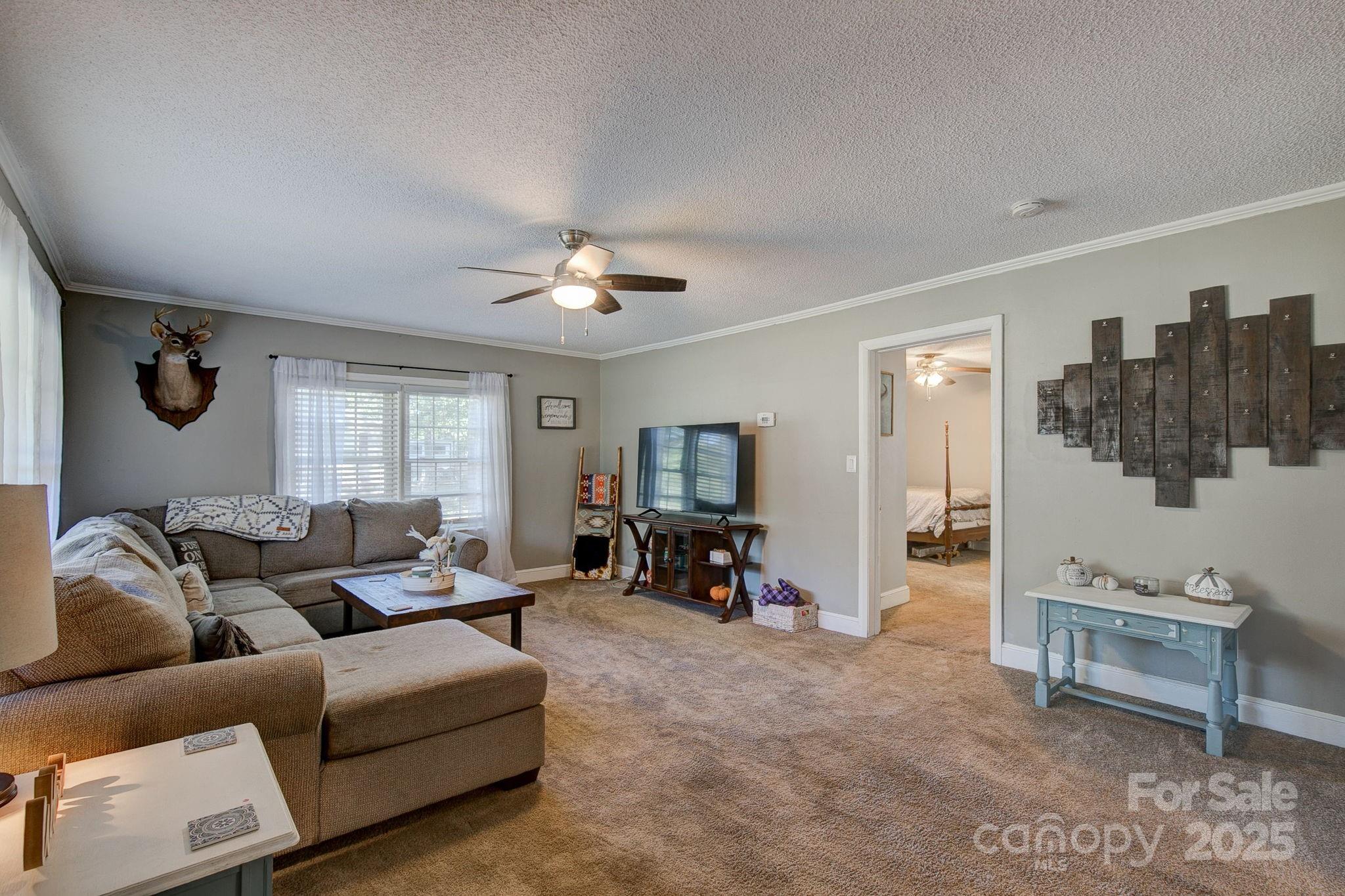 951 Evans Mill Road Pageland, SC 29728 - Photo 3 of 28 a living room with furniture and a couch