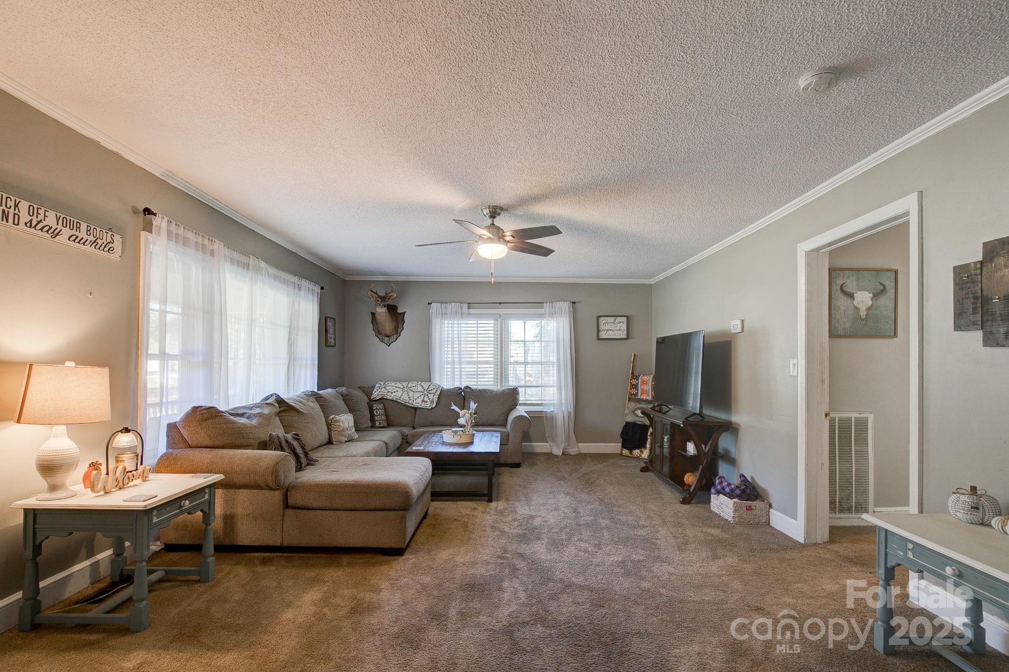 951 Evans Mill Road Pageland, SC 29728 - Photo 4 of 28 a living room with furniture window and a flat screen tv