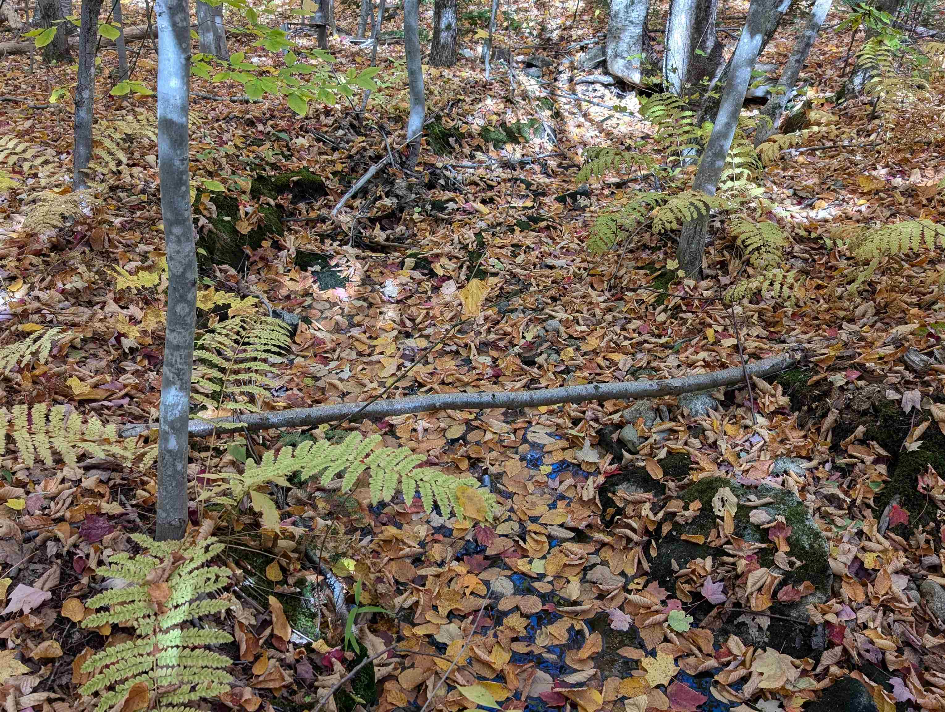 Lot 7-13 Mountain Road Francestown, NH 03043 - Photo 12 of 24