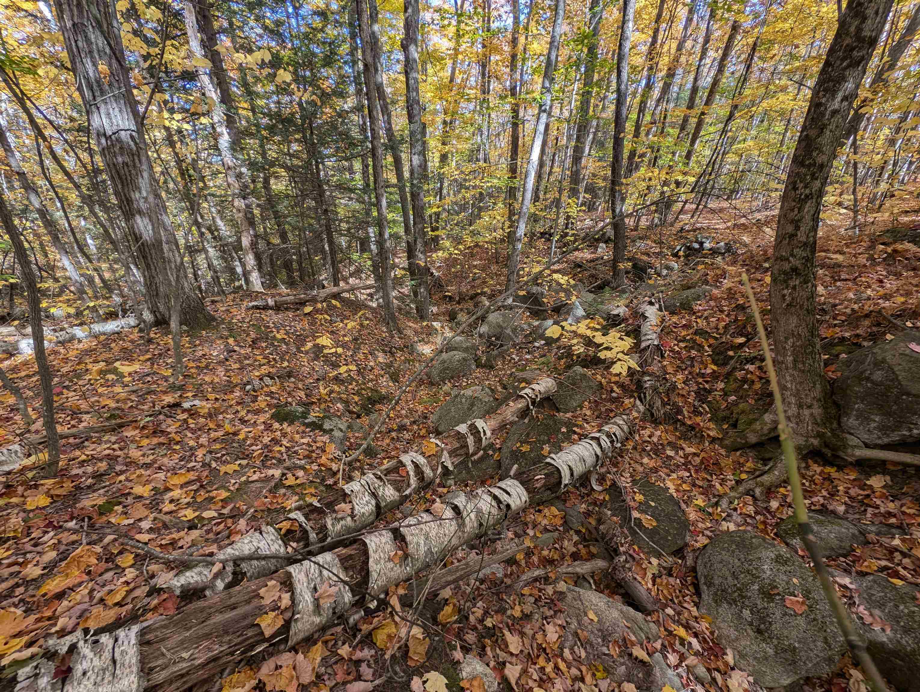 Lot 7-13 Mountain Road Francestown, NH 03043 - Photo 20 of 24