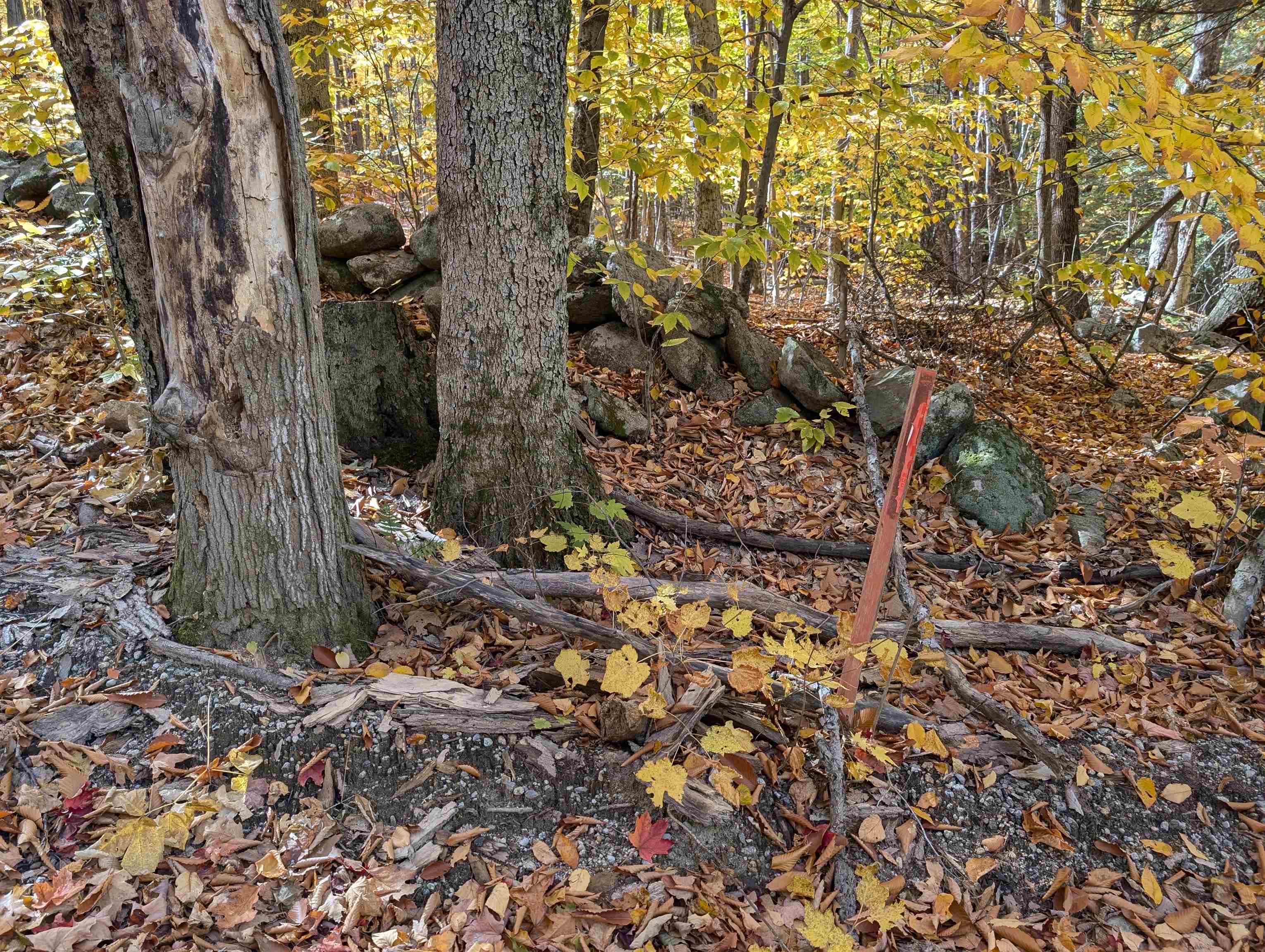 Lot 7-13 Mountain Road Francestown, NH 03043 - Photo 24 of 24