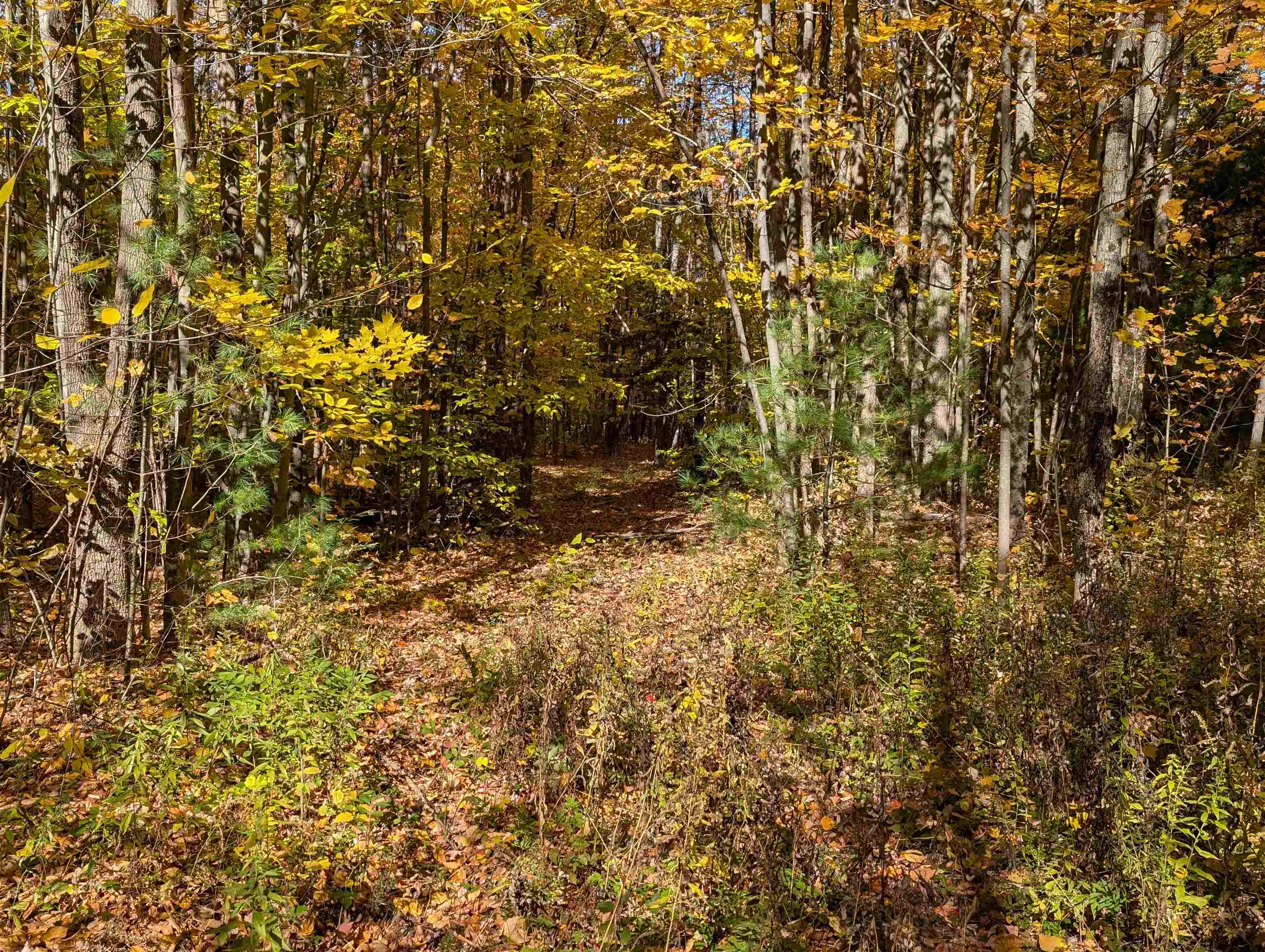 Lot 7-13 Mountain Road Francestown, NH 03043 - Photo 8 of 24