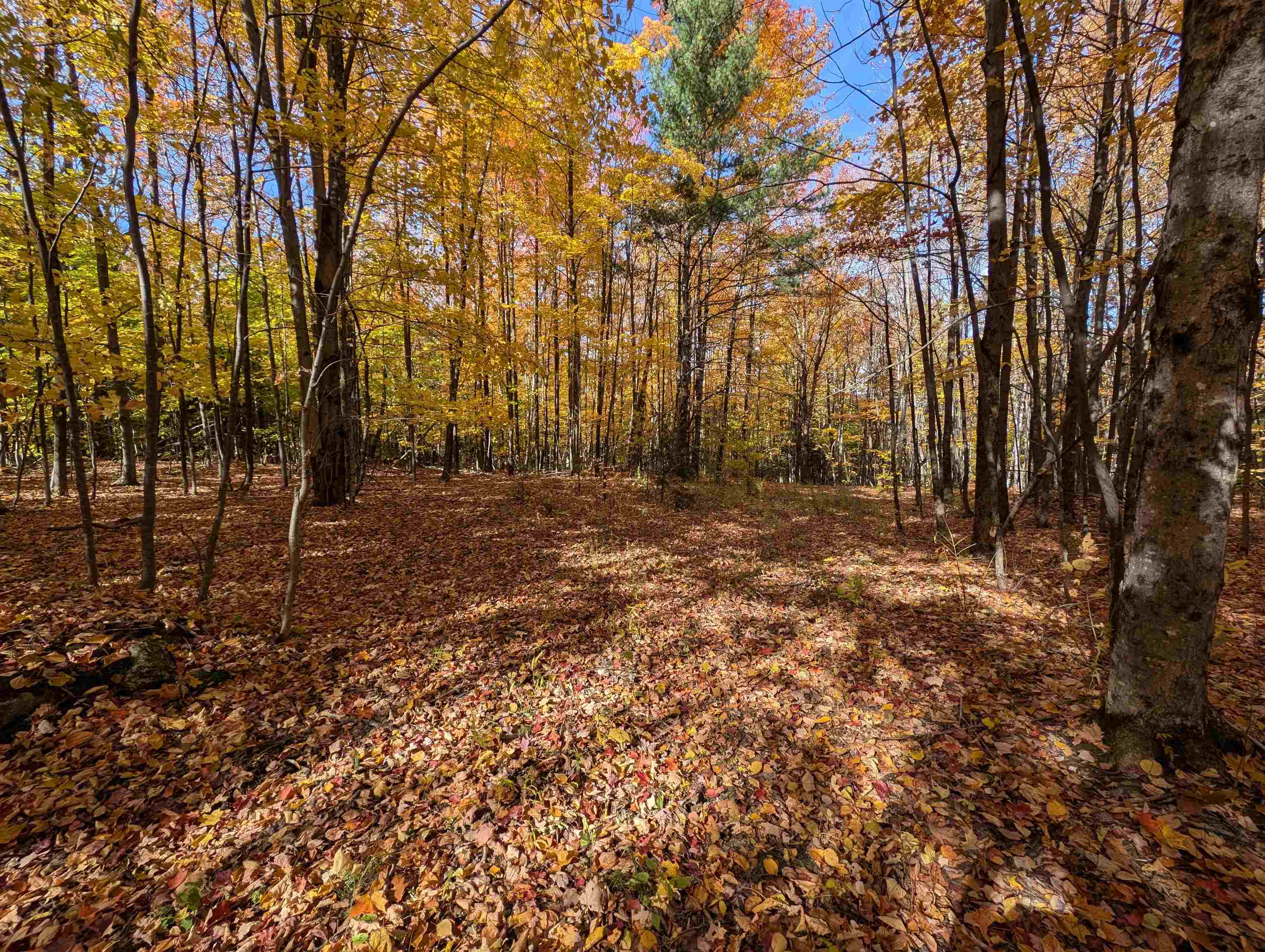 Lot 7-13 Mountain Road Francestown, NH 03043 - Photo 9 of 24