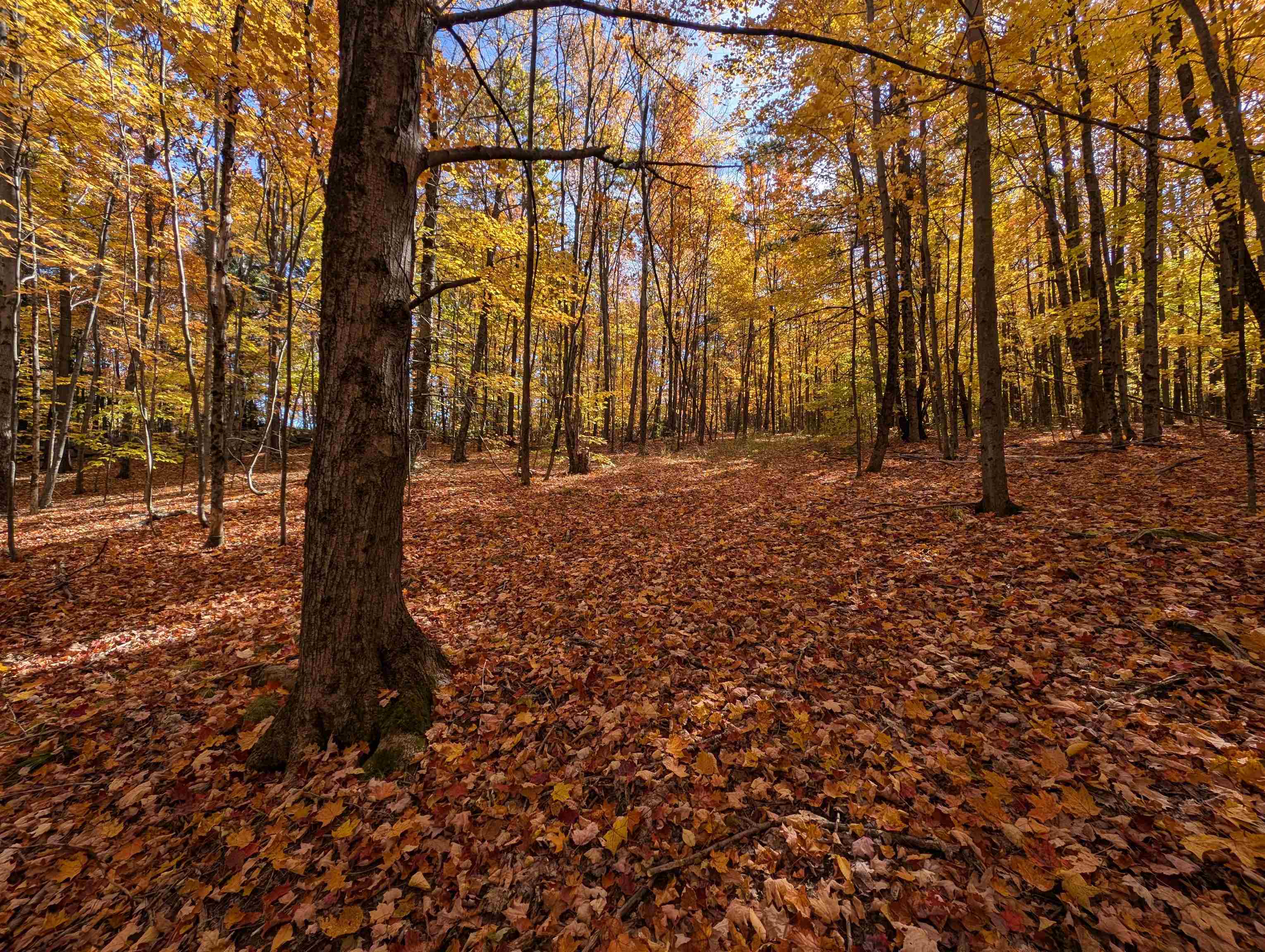 Lot 7-13 Mountain Road Francestown, NH 03043 - Photo 10 of 24
