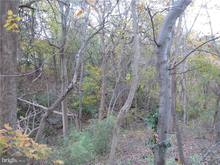 8442 Chippewa Road Philadelphia, PA 19128 - Photo 3 of 25