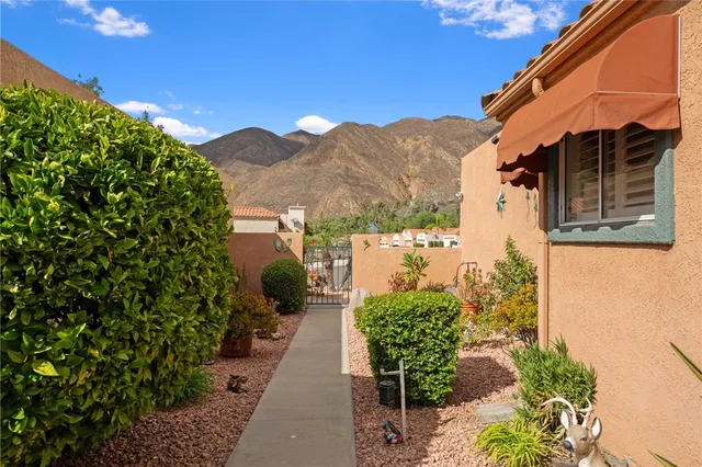 a view of a back yard