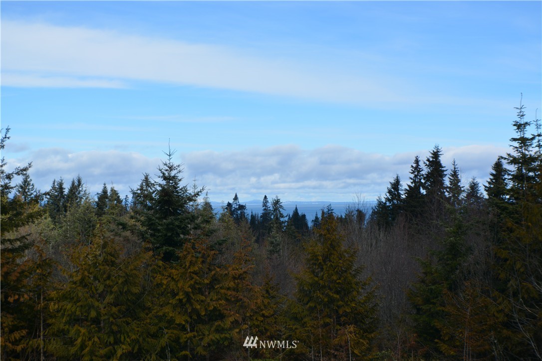 381 Guy Kelly Road Port Angeles, WA 98362 - Photo 9 of 20