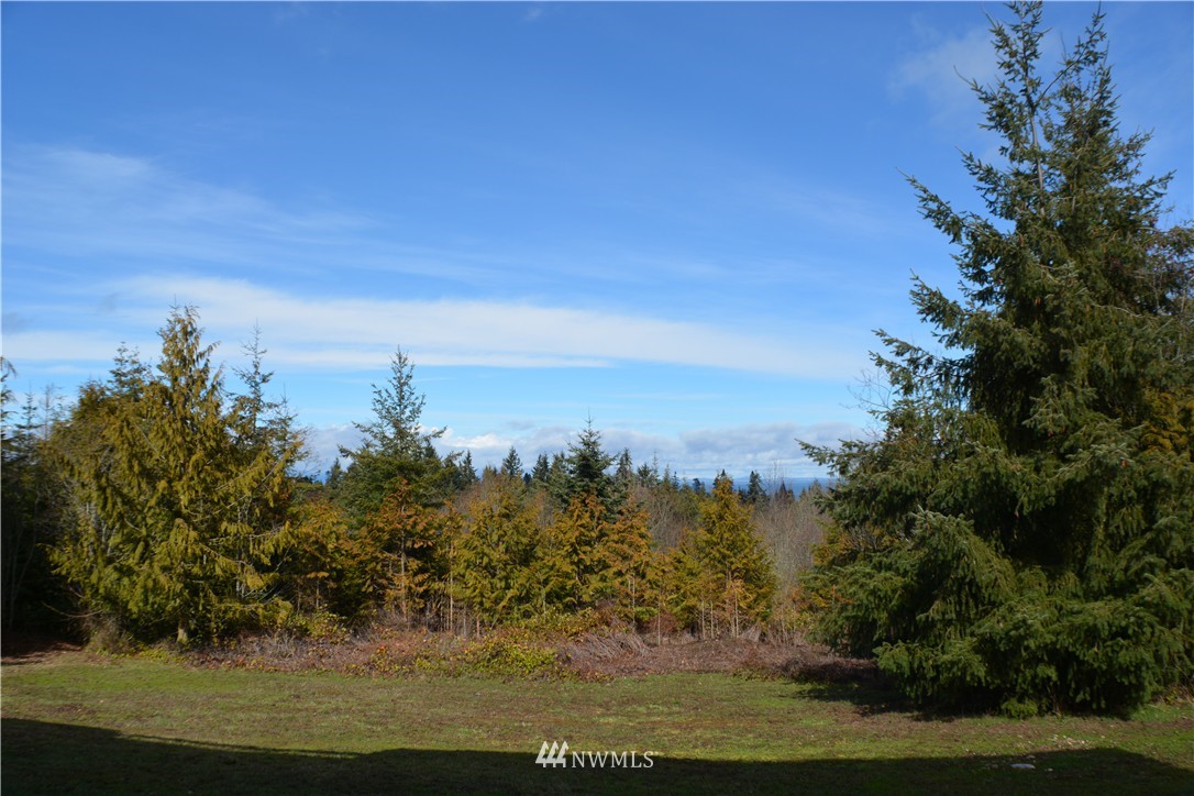 381 Guy Kelly Road Port Angeles, WA 98362 - Photo 10 of 20