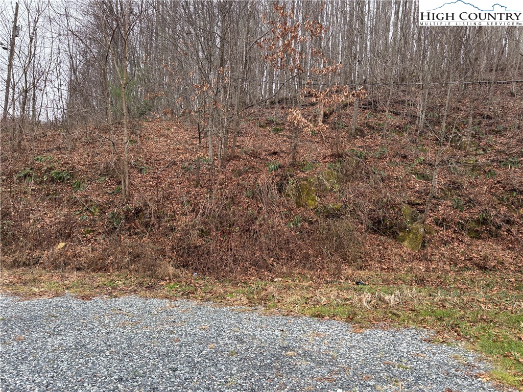 206 Bryant Combs Road Sugar Grove, NC 28679 - Photo 28 of 34