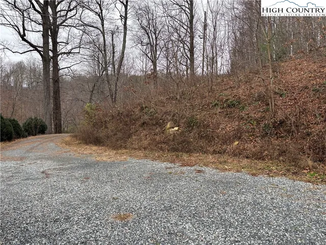 a view of a backyard of the house