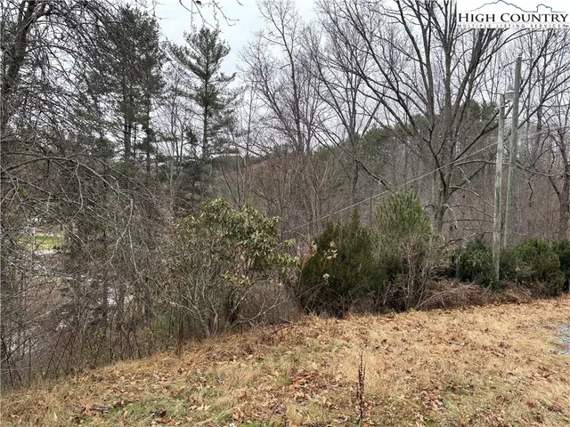 a view of a yard with trees