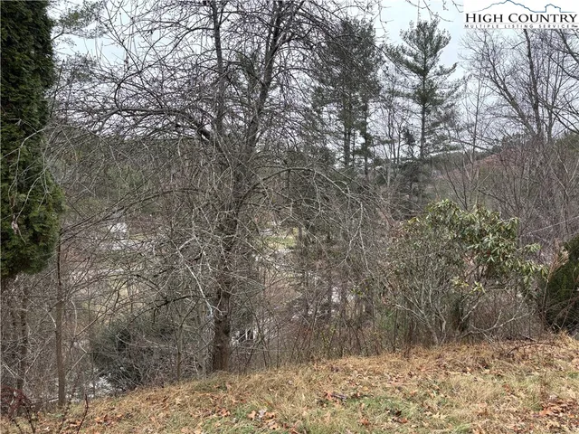 a view of a dry yard with trees
