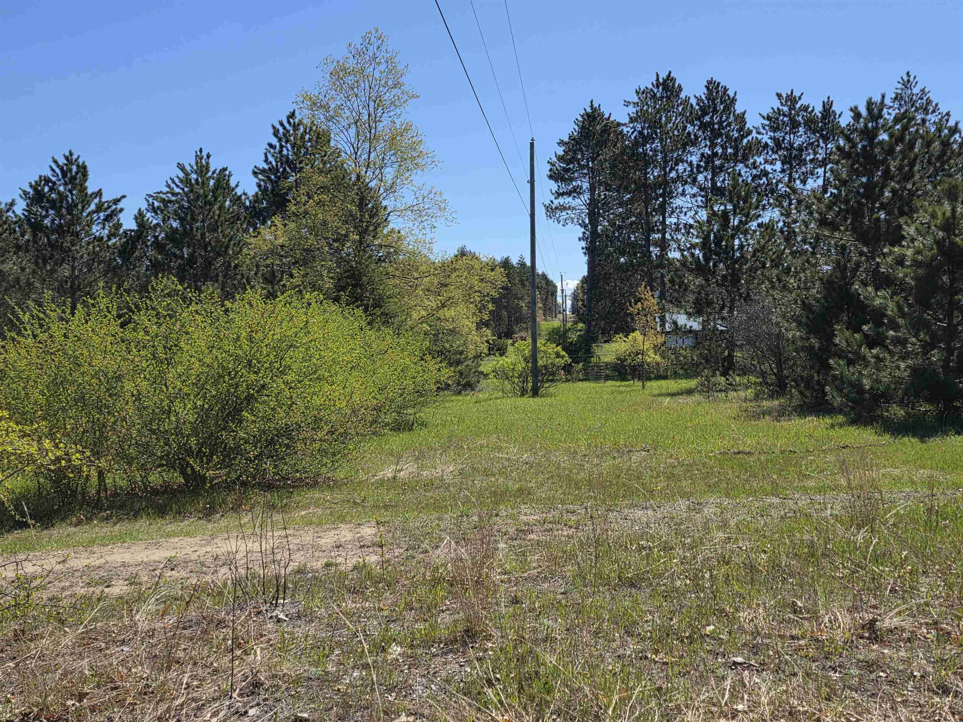 Vl 2-acres Arnold Road Manton, MI 49663 - Photo 8 of 15