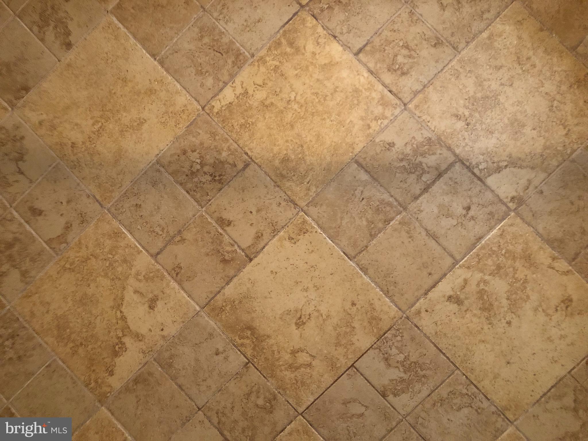 9269 Sharptown Road Laurel, DE 19956 - Photo 16 of 39 Tile