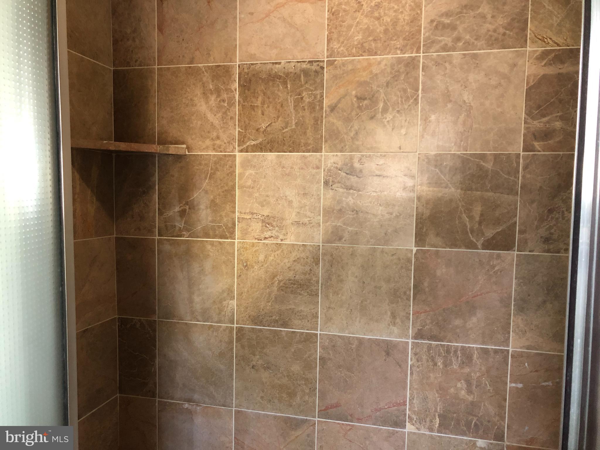 9269 Sharptown Road Laurel, DE 19956 - Photo 20 of 39 Primary bath custom shower