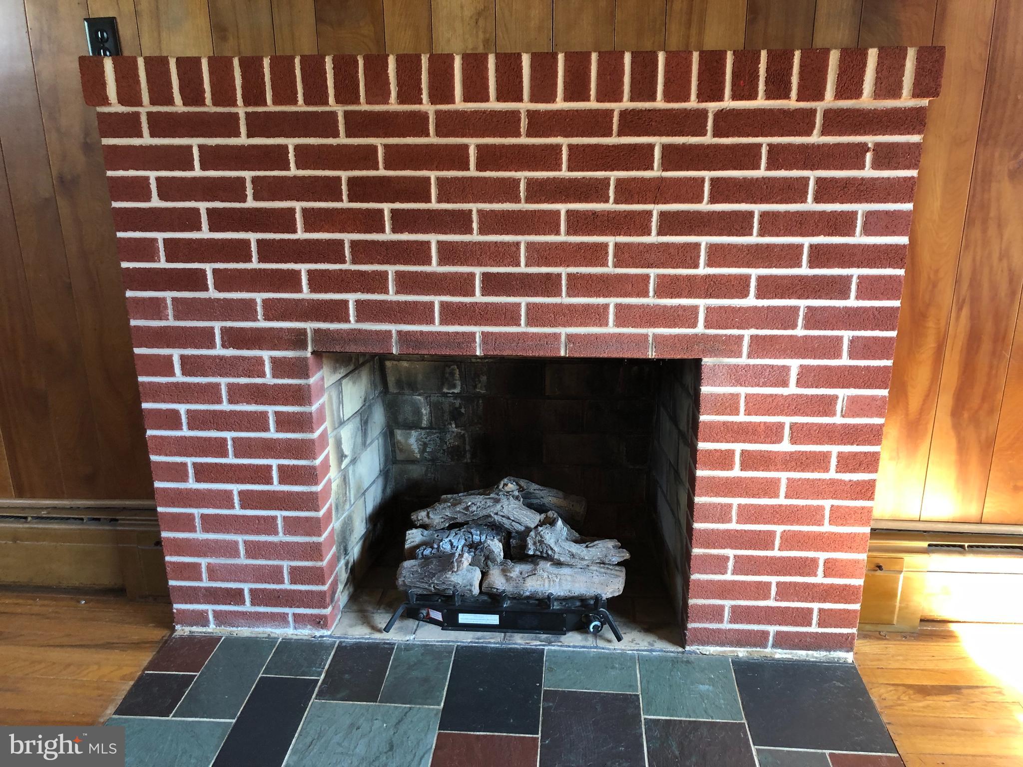 9269 Sharptown Road Laurel, DE 19956 - Photo 25 of 39 Brick fireplace w/ gas insert