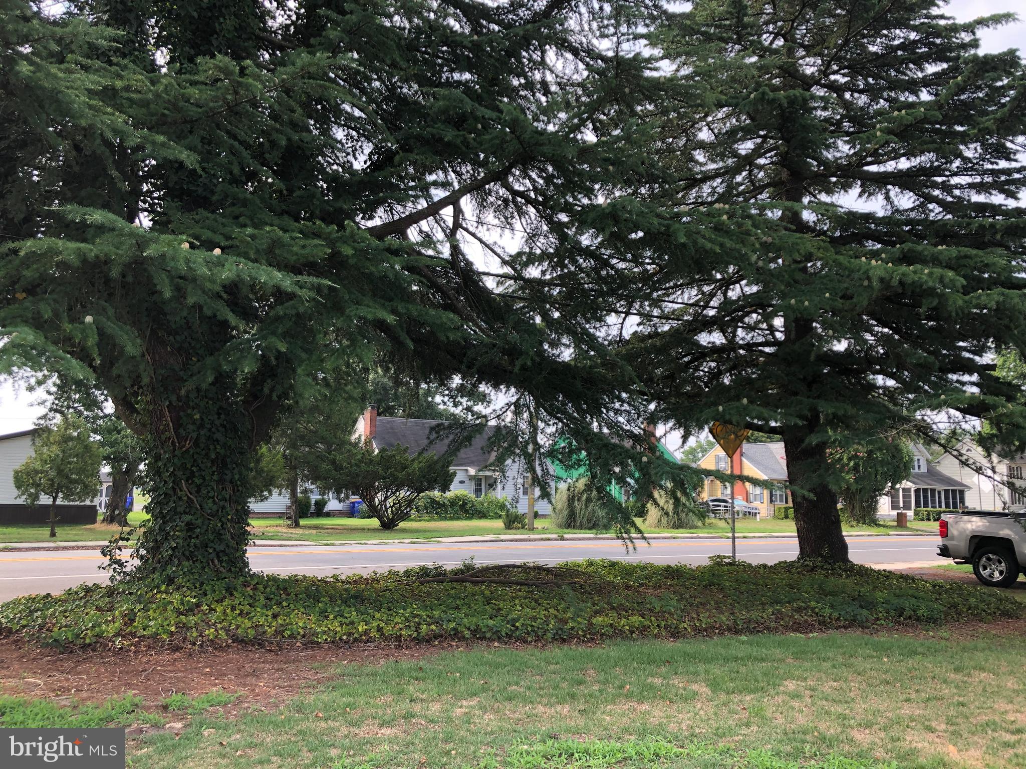 9269 Sharptown Road Laurel, DE 19956 - Photo 6 of 39 These two majestic trees greet you in the front!
