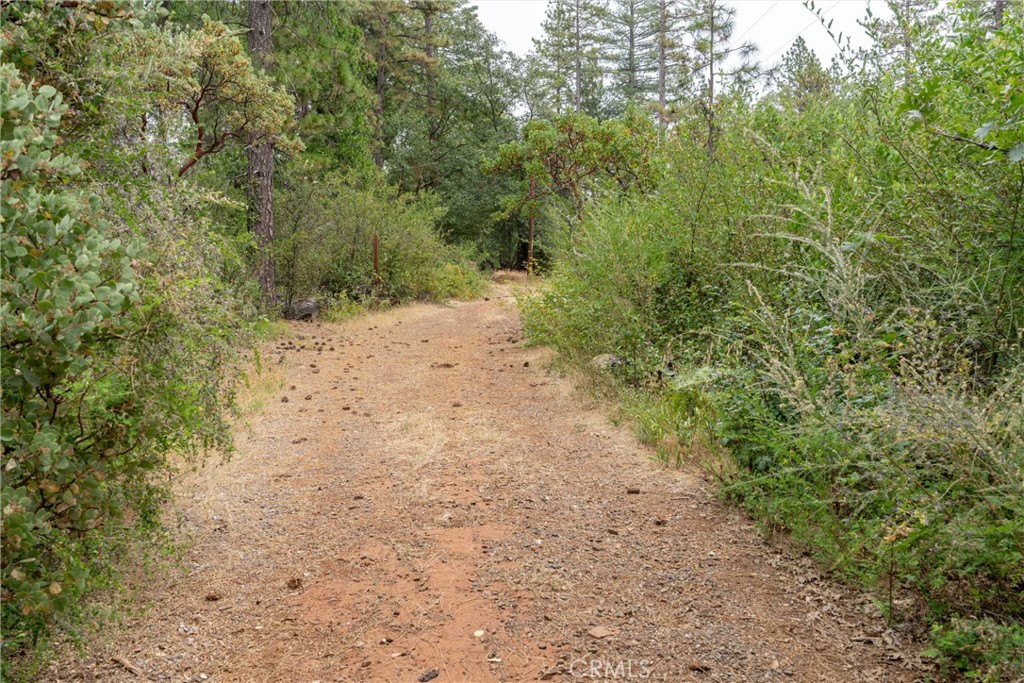 15184 Siwini Road Forest Ranch, CA 95942 - Photo 55 of 75