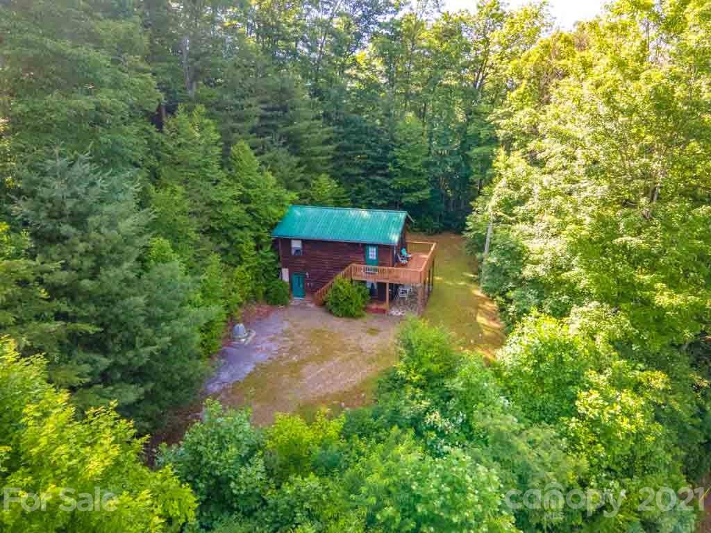 195 Mopey Maple Road Waynesville, NC 28785 - Photo 6 of 23 a view of a yard with plants and large trees