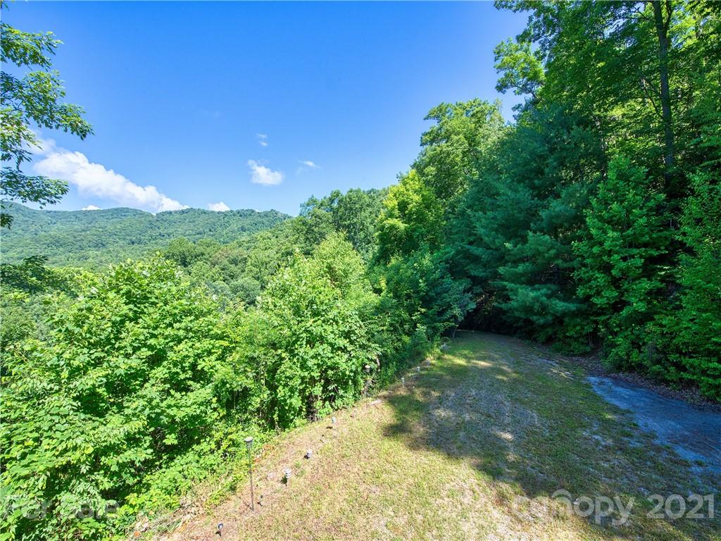 195 Mopey Maple Road Waynesville, NC 28785 - Photo 10 of 23 a view of a yard with plants and a trees